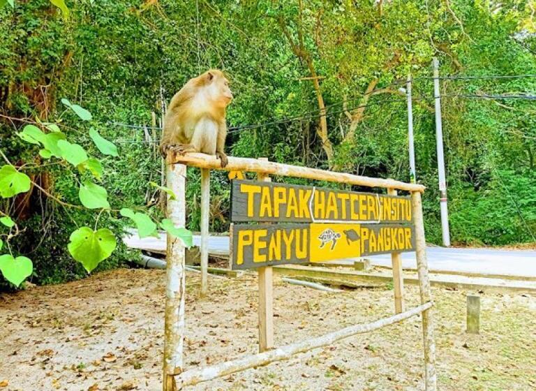 Pangkor Coralbay Resort 201 Apartment
