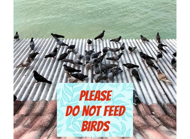 Seafront Corus Resort Port Dickson