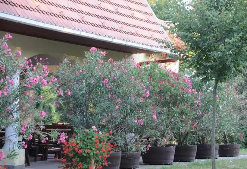تختخواب و صبحانه Huszár Panzió és étterem