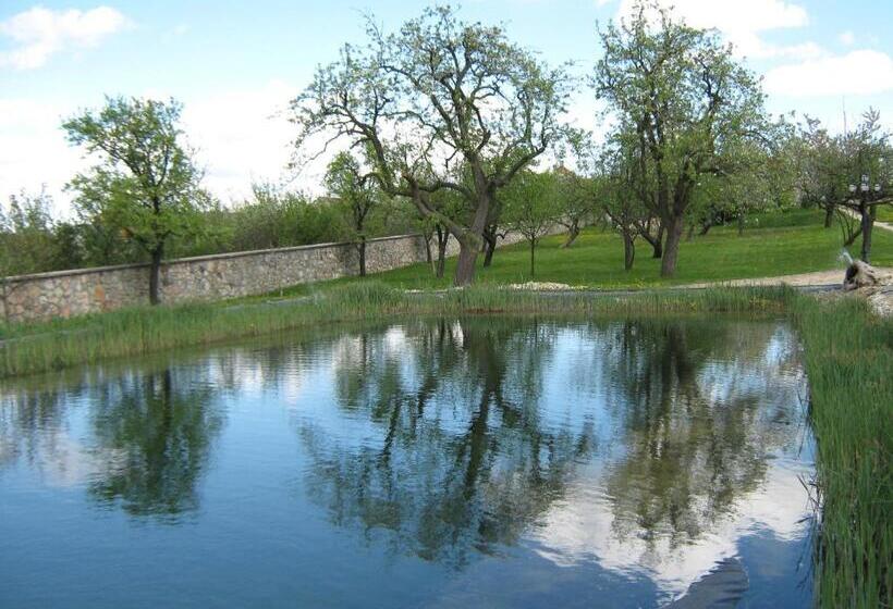 בית מלון כפרי Bakony Panzió