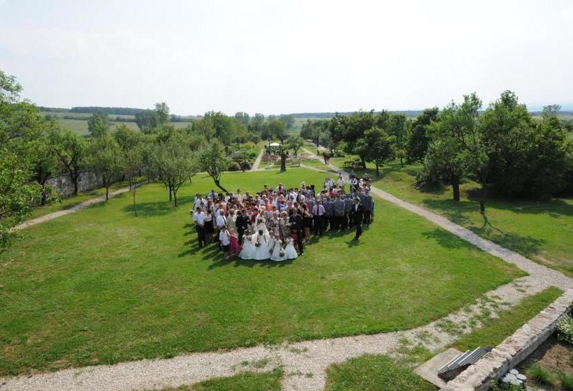 בית מלון כפרי Bakony Panzió