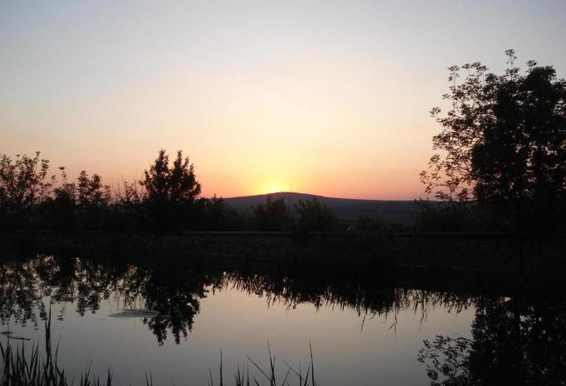 בית מלון כפרי Bakony Panzió