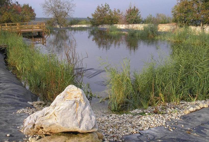 בית מלון כפרי Bakony Panzió