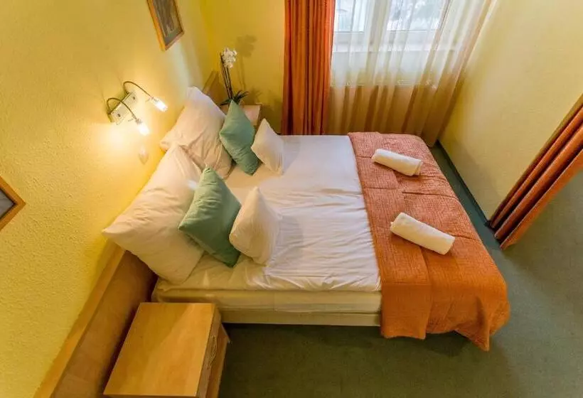 Hotel Salgó