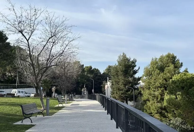 Aamiaismajoitus (B&B) Cleo Orchidea