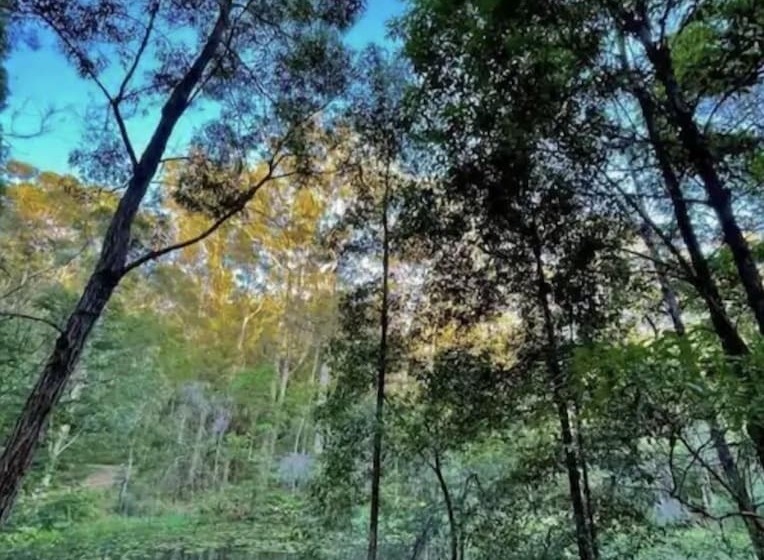 Krishna Farm Retreat