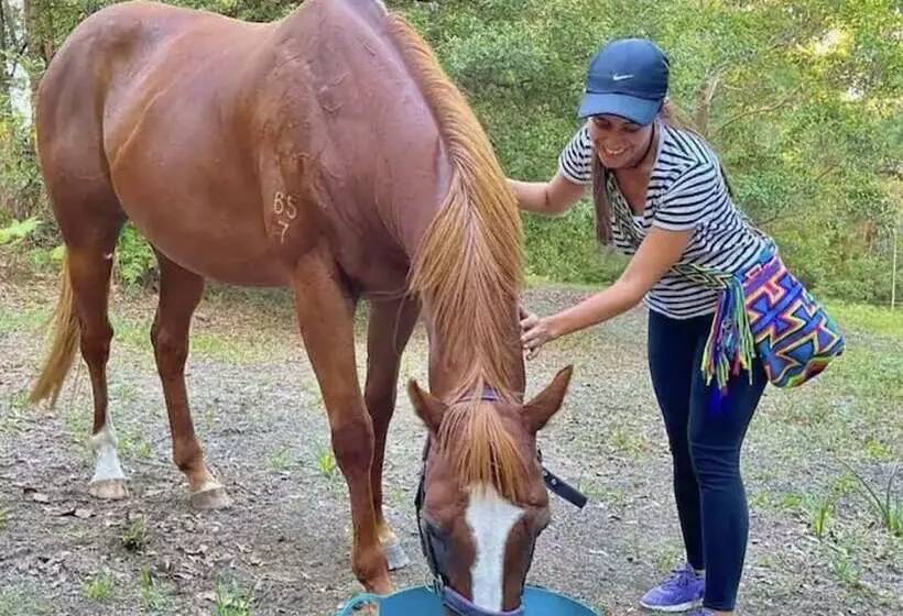 Krishna Farm Retreat