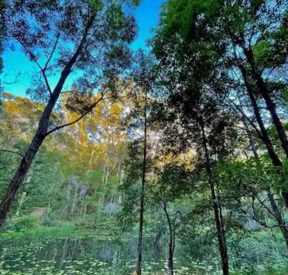 Krishna Farm Retreat