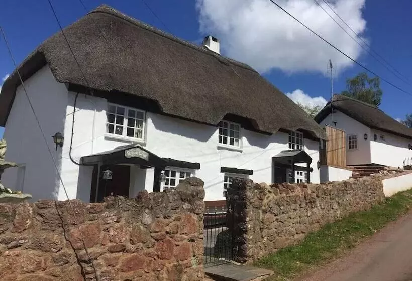 Thatched Cottage Annex In Stokeinteignhead
