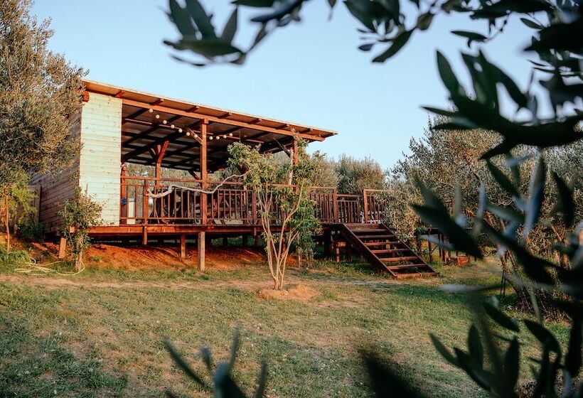 酒店 Ljubac Glamping Belltent Robinson