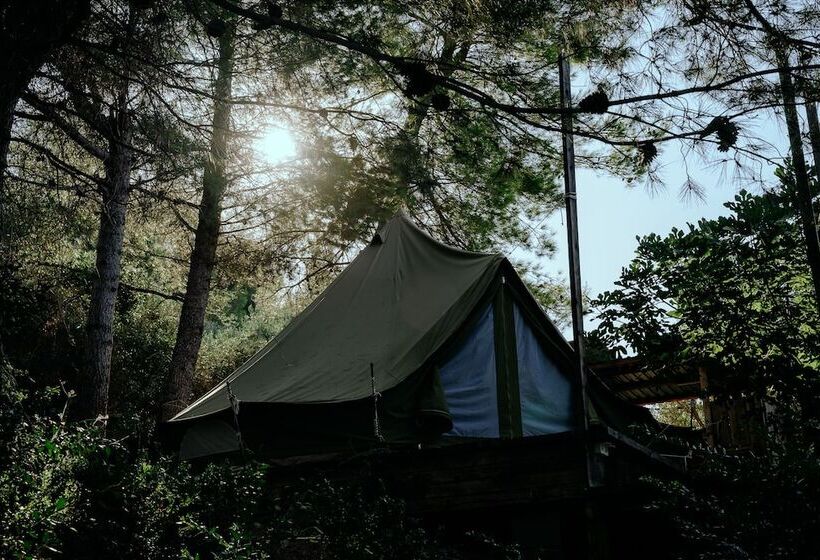 酒店 Ljubac Glamping Belltent Robinson