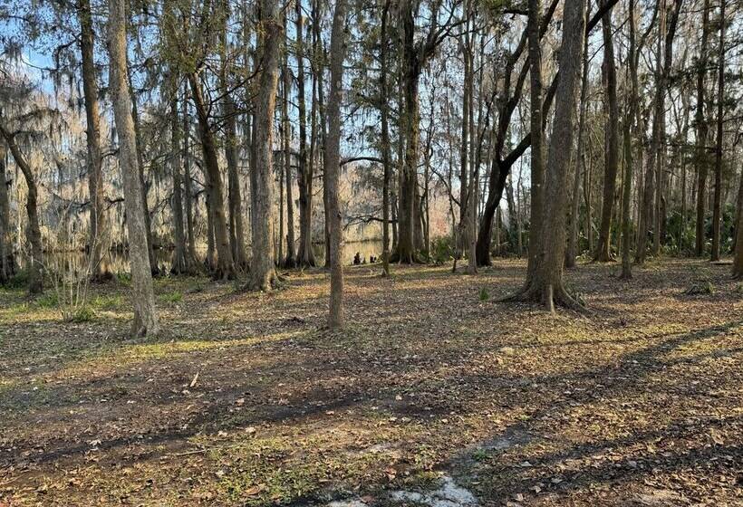 酒店 Rainbow Ranch Cabins