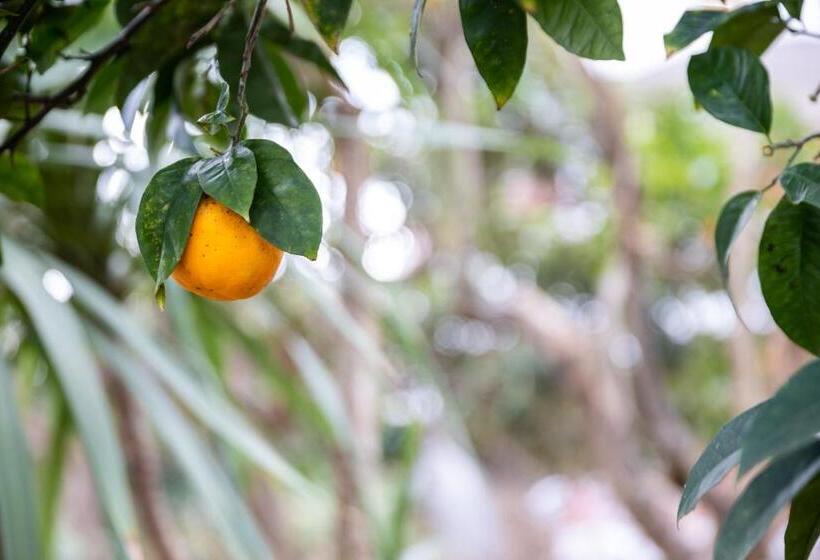 펜션 Villa Harmony Sorrento