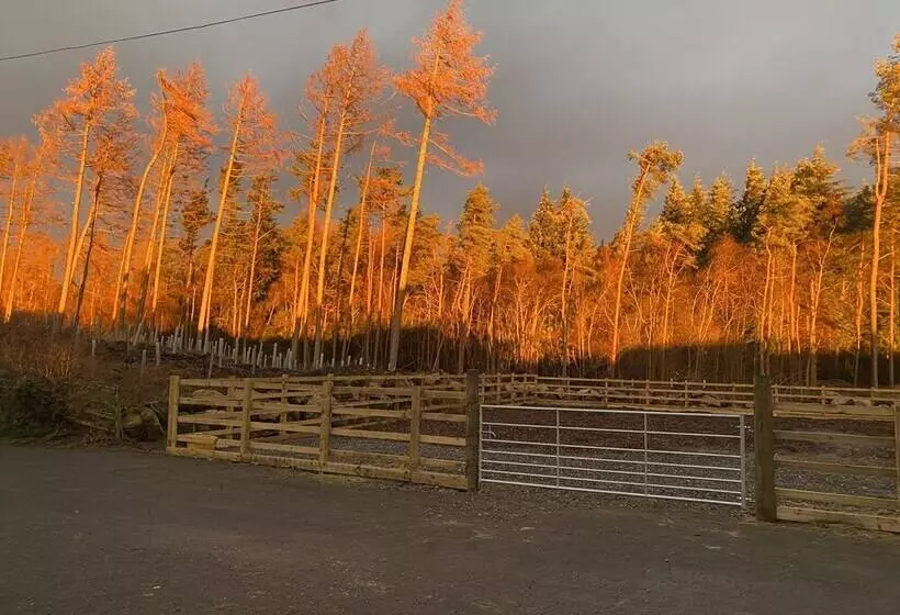 Residenssi The Annex At Meeks Park Immaculate 2 Bed