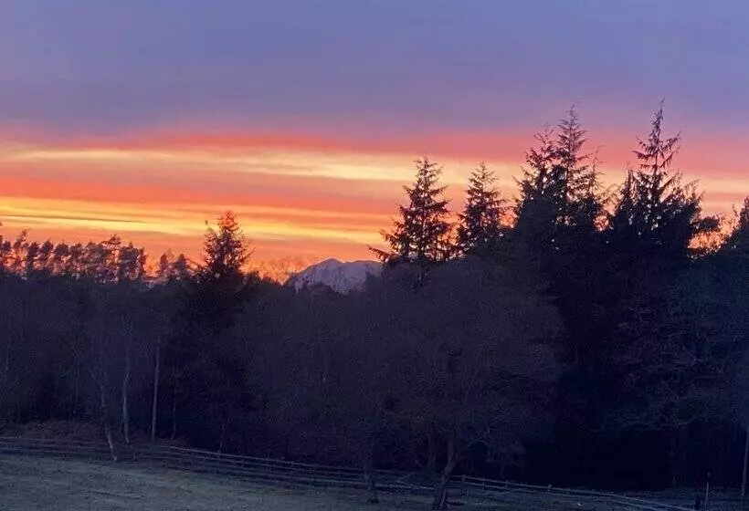 Residenssi The Annex At Meeks Park Immaculate 2 Bed