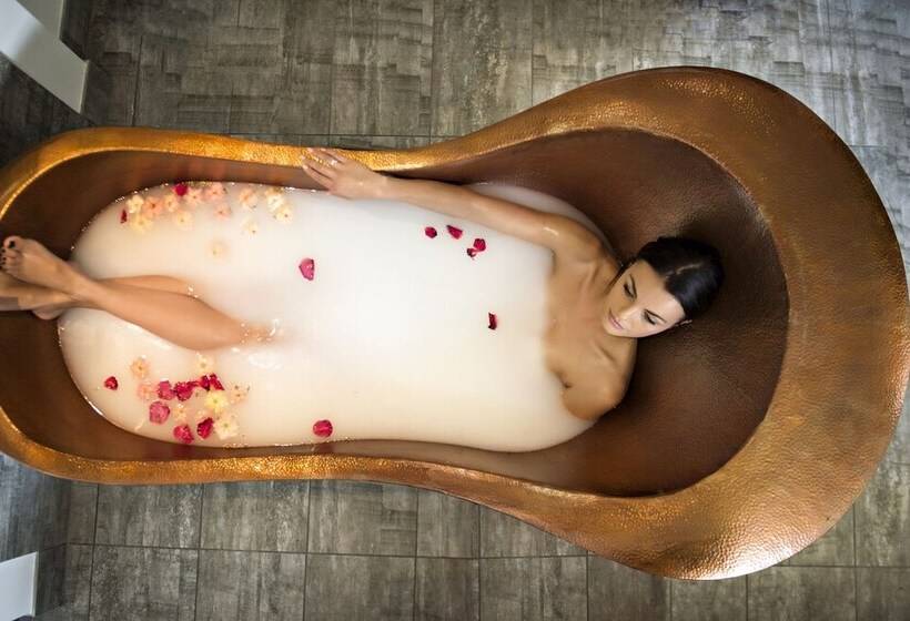 酒店 Circa 1936 Art