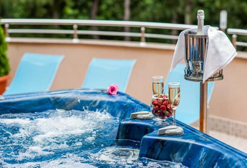 בית מלון כפרי Park Bachinovo