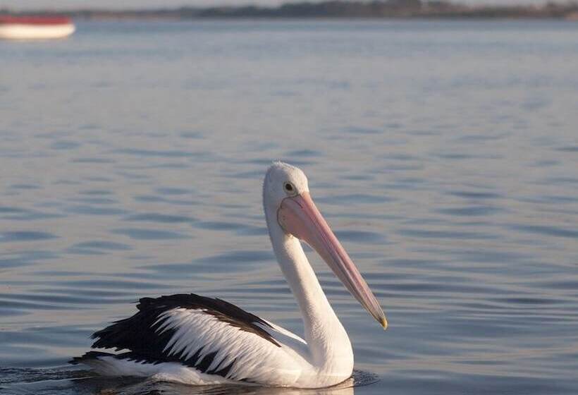 צימר Oak Tree Lodge