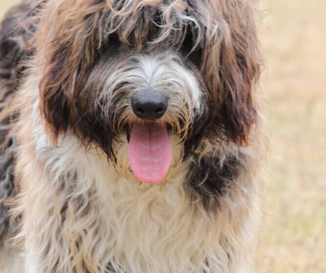 Harmony Bed & Breakfast