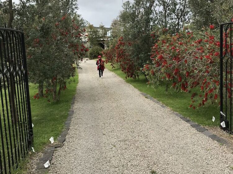 Harmony Bed & Breakfast