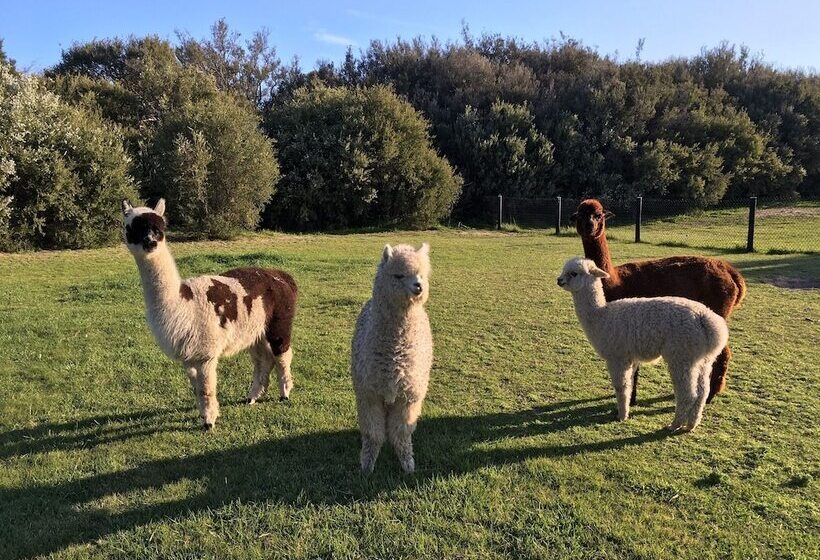 Harmony Bed & Breakfast