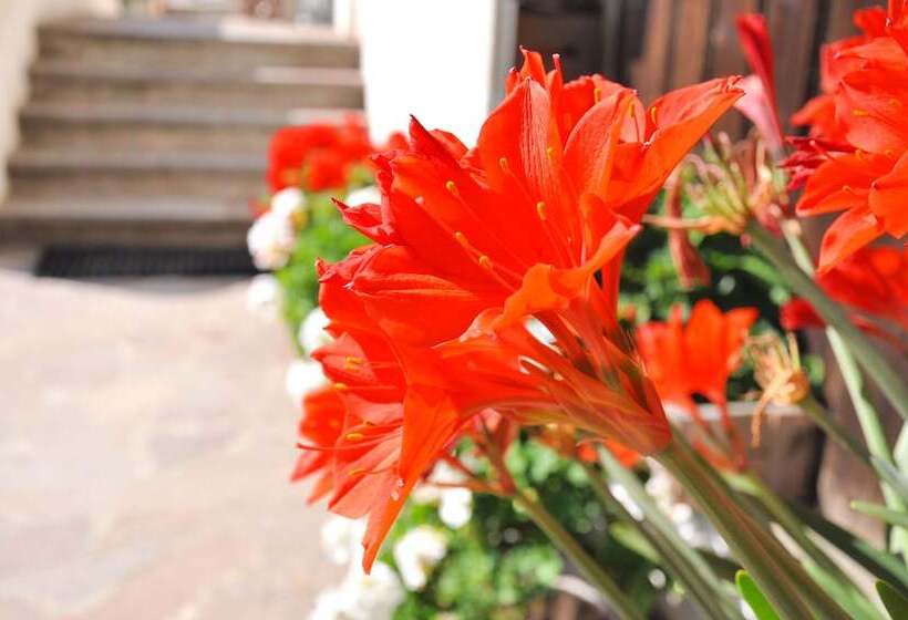 酒店 Pension Feldgärtenhof