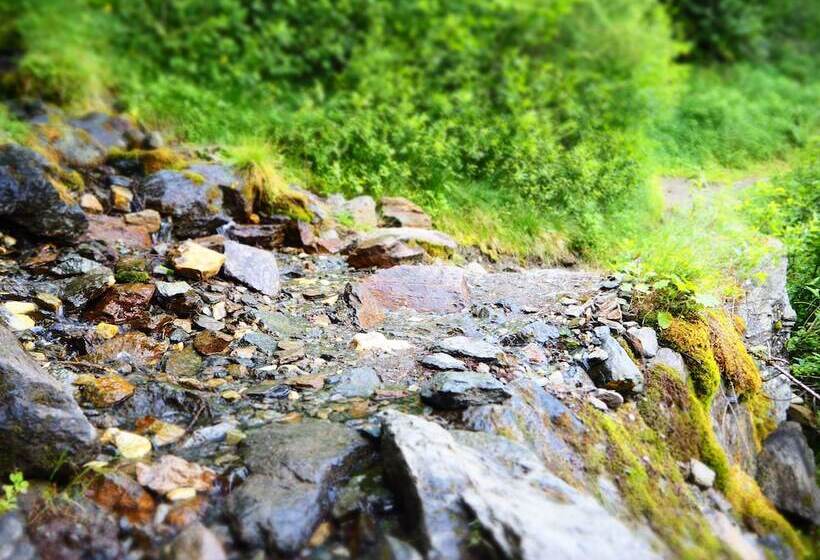 酒店 Pension Feldgärtenhof