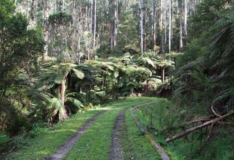 Warburton Motel Where Mid Century Style Meets The Mountains