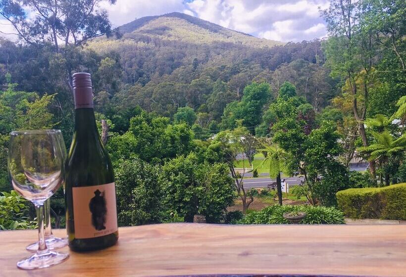 Warburton Motel Where Mid Century Style Meets The Mountains