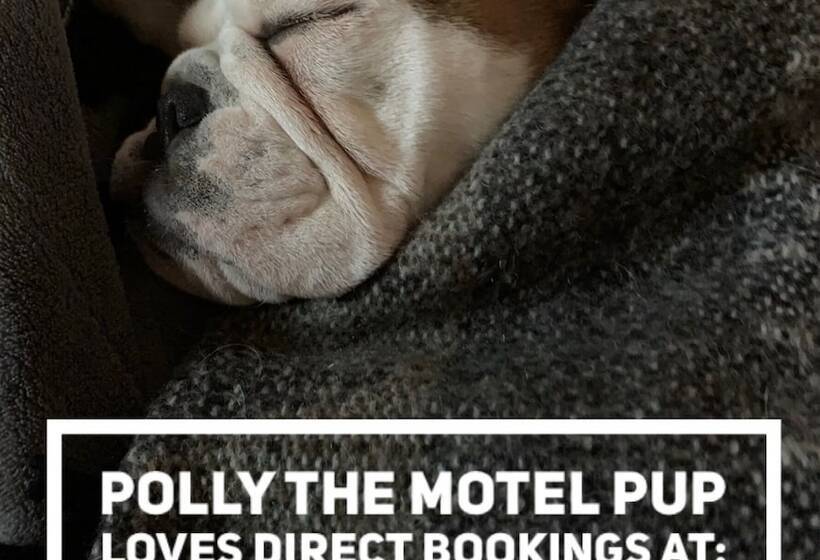 Warburton Motel Where Mid Century Style Meets The Mountains