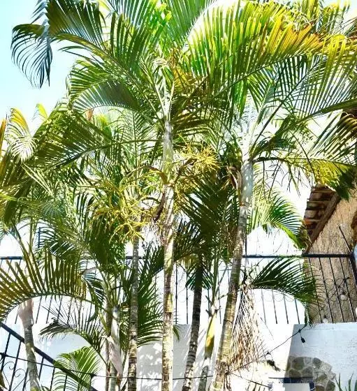 پانسیون Casa Coco Hostel