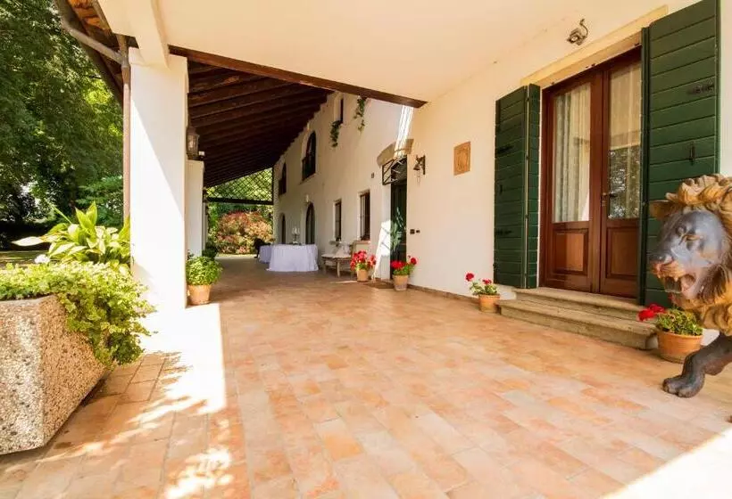 B&b La Villa Del Vecchio Platano