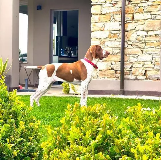 Aamiaismajoitus (B&B) Tenuta Moncarlino