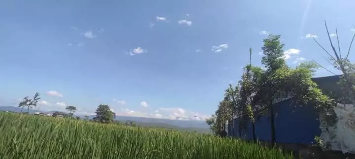 هتل Gadyauli Village