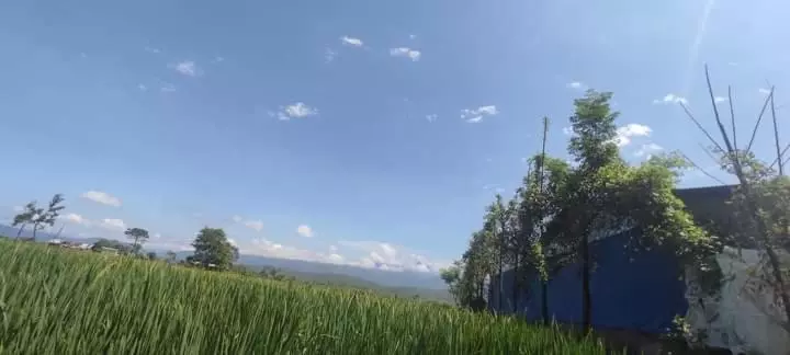 هتل Gadyauli Village