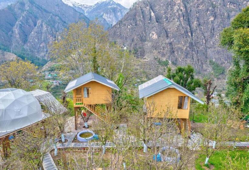 Отель Regal Retreat