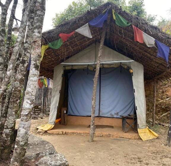 استراحتگاه Back To Nature