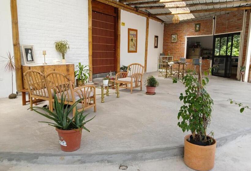 민박 Fevu Vera Forest House