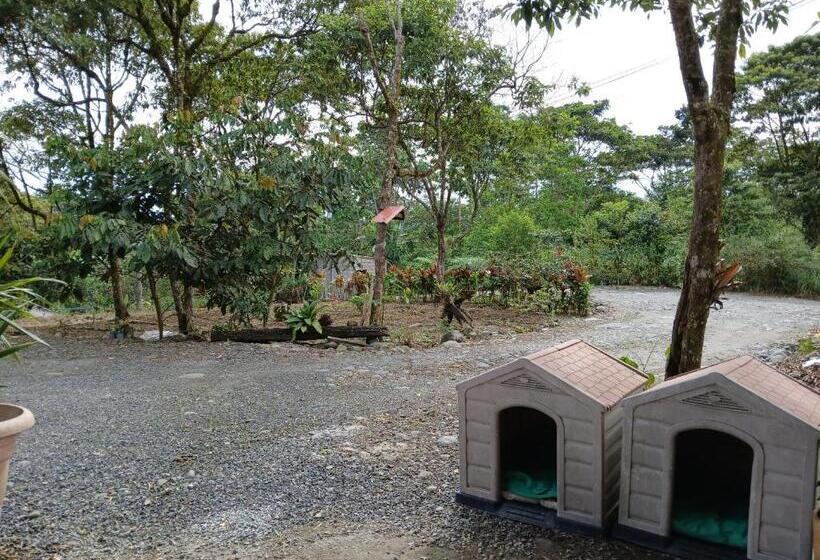 민박 Fevu Vera Forest House