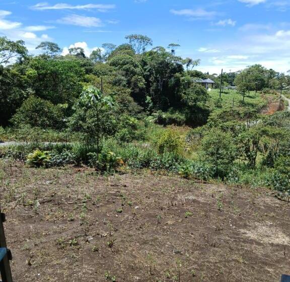 민박 Fevu Vera Forest House