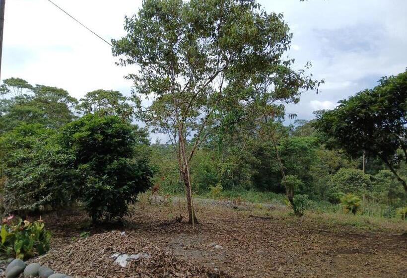 민박 Fevu Vera Forest House