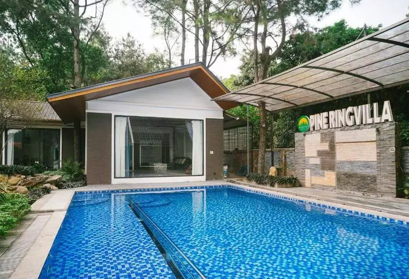 تختخواب و صبحانه Pine Ring Villa