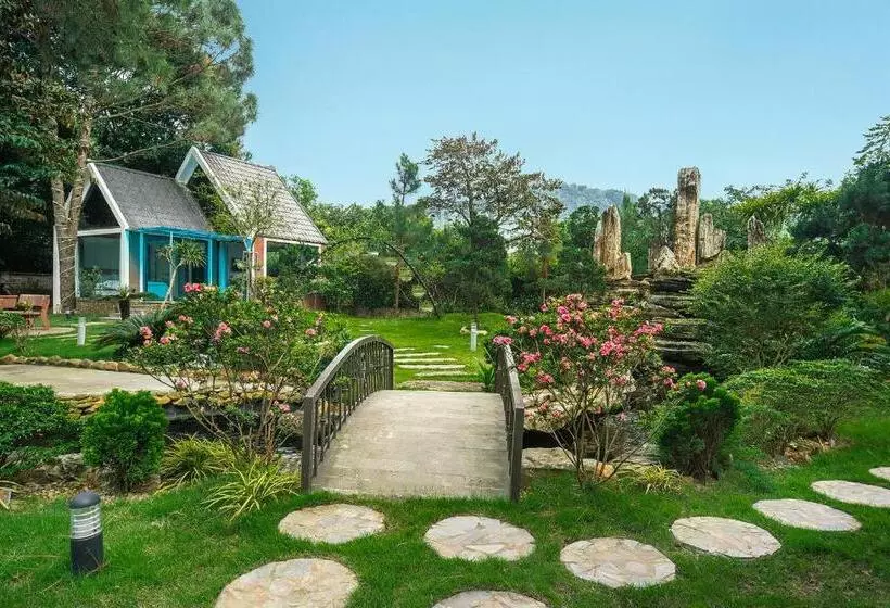 تختخواب و صبحانه Pine Ring Villa