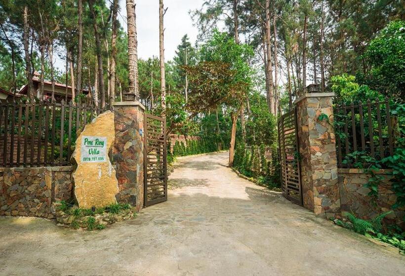 Bed and Breakfast Pine Ring Villa