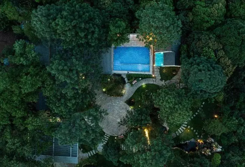 تختخواب و صبحانه Pine Ring Villa