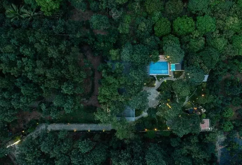 تختخواب و صبحانه Pine Ring Villa