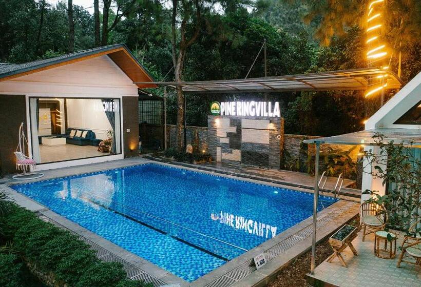 Bed and Breakfast Pine Ring Villa