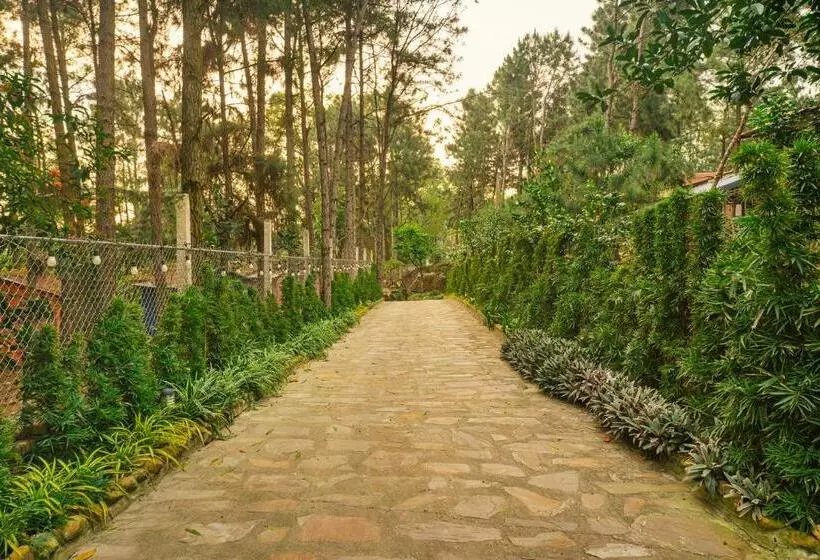 تختخواب و صبحانه Pine Ring Villa