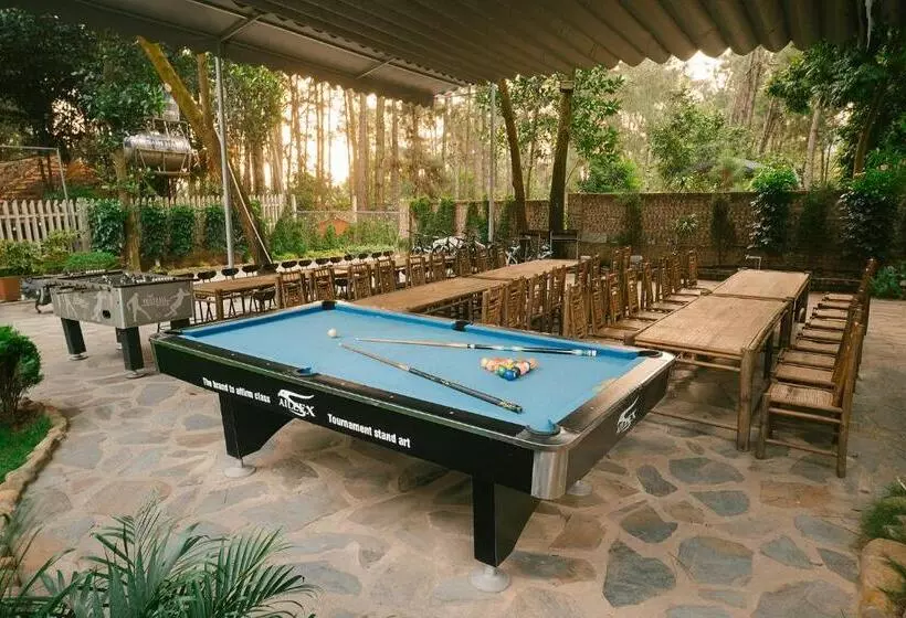 تختخواب و صبحانه Pine Ring Villa