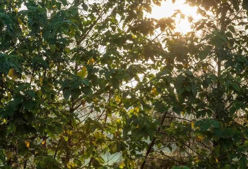 پانسیون Residence 256 Kampala, Kigo